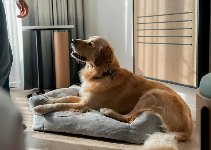 Luxushotel: Marriott Long Beach Downtown