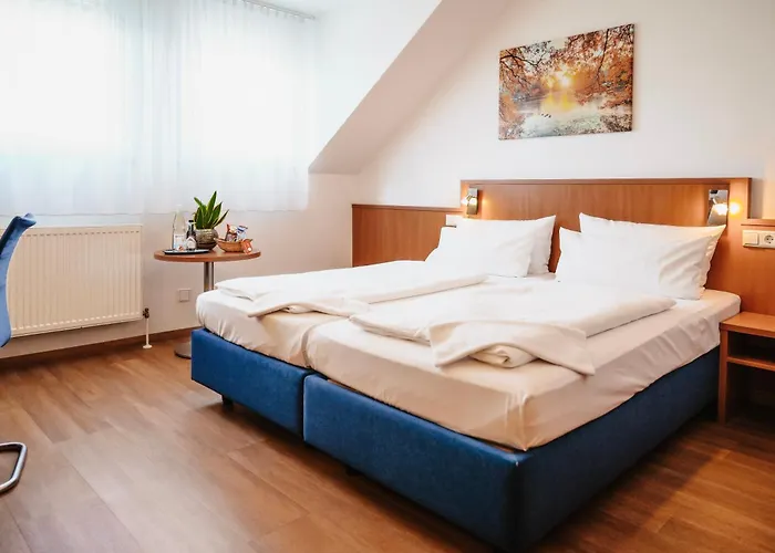 Jacuzzi-Hotel: Hotel&Restaurant Goldener Pflug