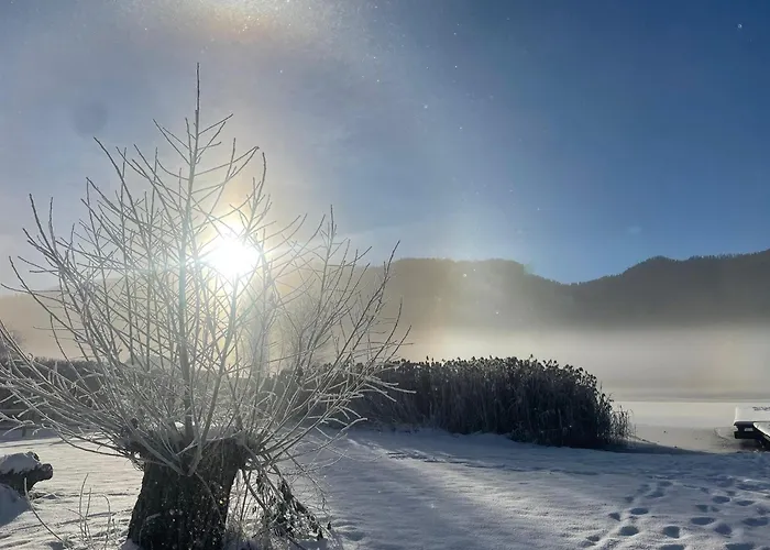 See Hotel Kärntnerhof- das Seehotel am Weissensee!