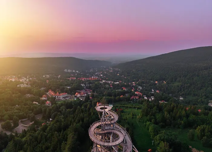 Forest Park Resort&SPA