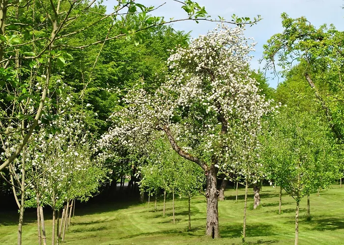 Waldhotel