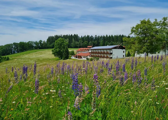 Osserhotel Garni