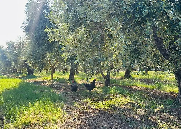 Agriturismo Il Tripesce