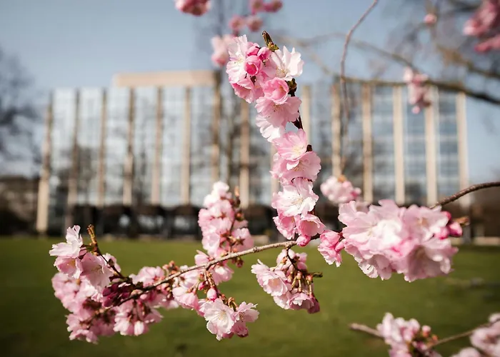 Boutique-Hotel: Sheraton Essen Hotel