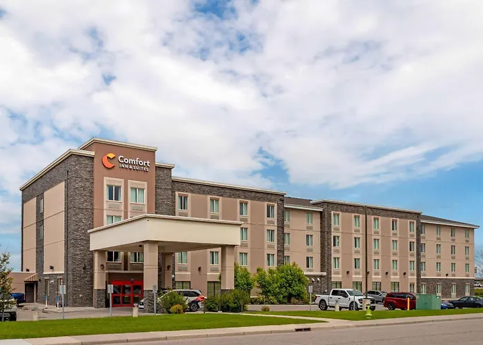 Comfort Inn & Suites Airport North