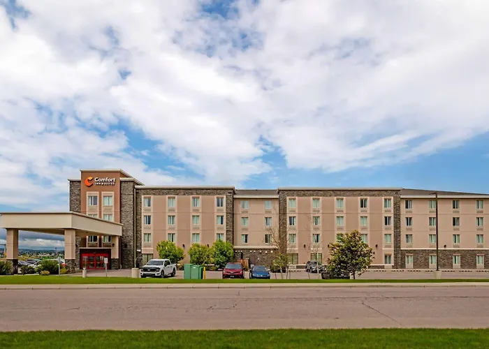 Comfort Inn & Suites Airport North