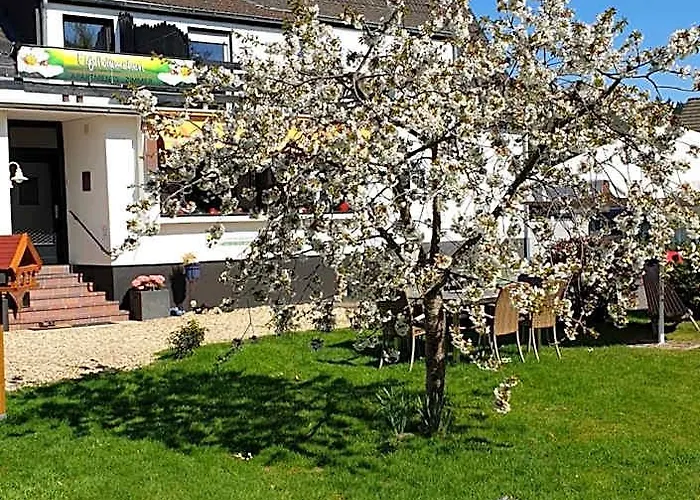 Eifelblümchen