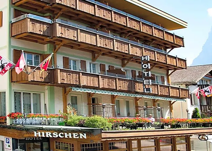  Hirschen