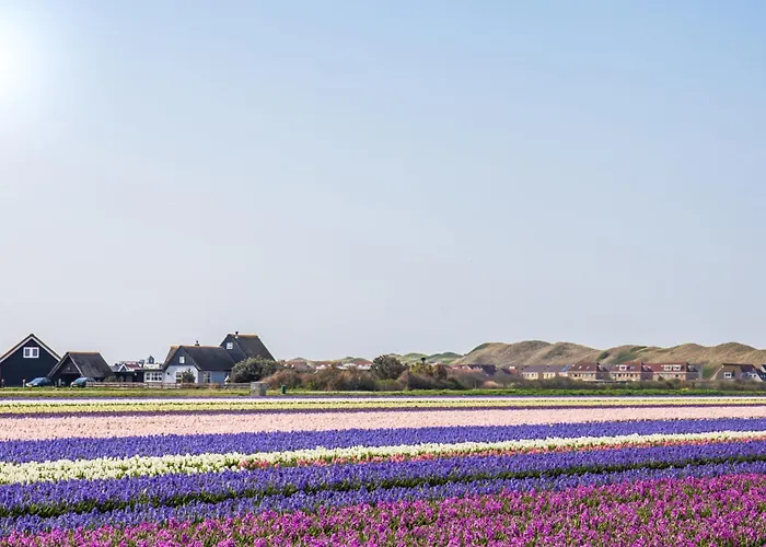 Luttikduin Nr 22 - Aan Zee
