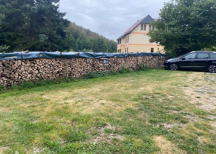 Hotel mit Hund Waldfrieden