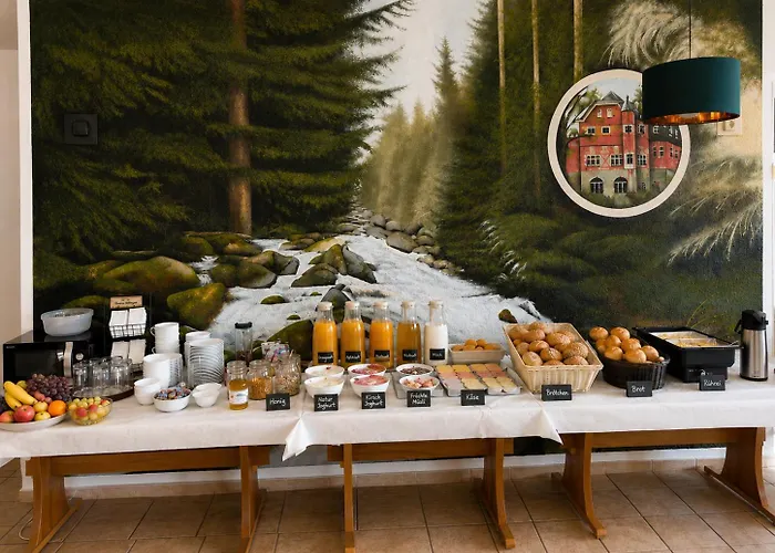 Hotel Steinerne Renne Garni