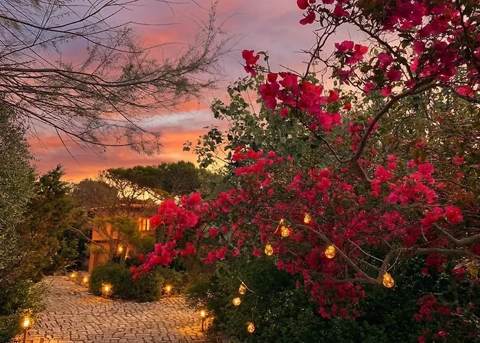 Villa Grace