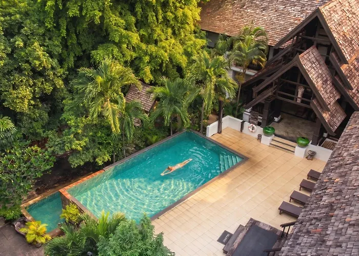 Rainforest Chiangmai