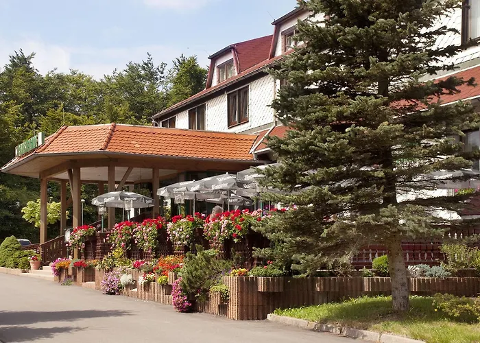 Familienhotel: Waldhotel Rennsteighof