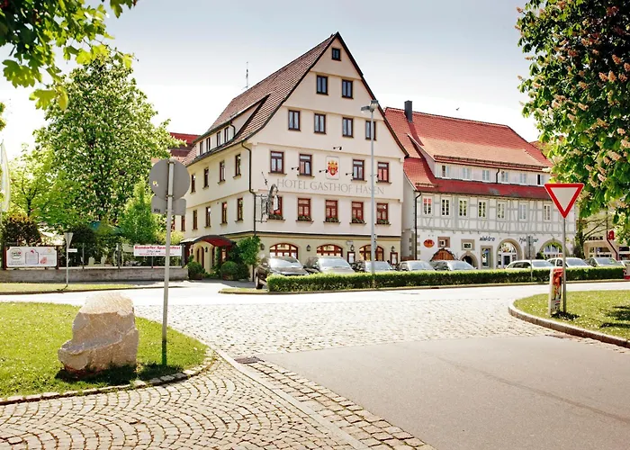 Hotel: Ringhotel Gasthof Hasen