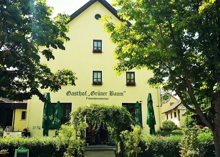 Hotel-Landgasthof Grüner Baum - Dittigheim