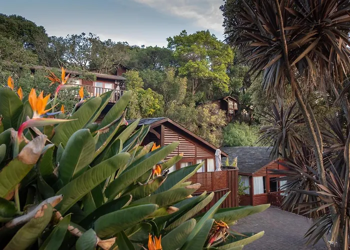 Under Milkwood Resort