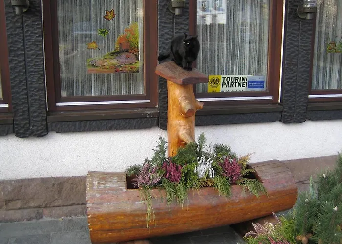 Hotel: Hotel Rappen
