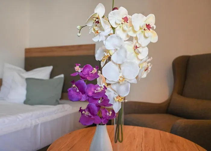 4 Sterne Hotels Novo Premium By As